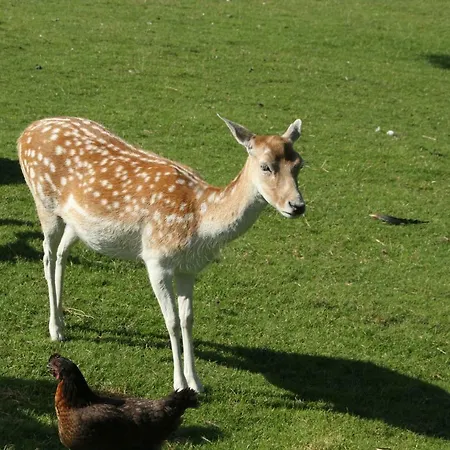 Recreatieboerderij Tergracht * 에펜