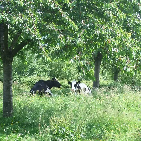 Recreatieboerderij Tergracht مزرعة للإقامة إيبين