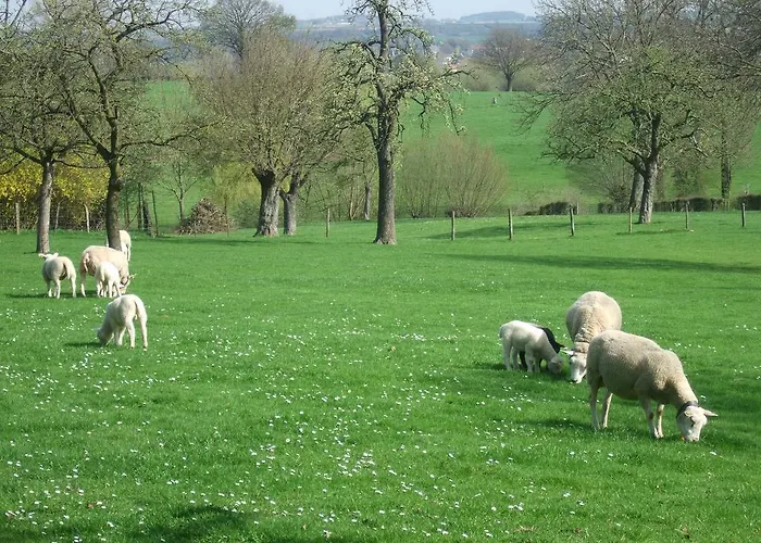 Фермерский дом Recreatieboerderij Tergracht *