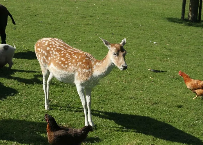 Recreatieboerderij Tergracht * 에펜