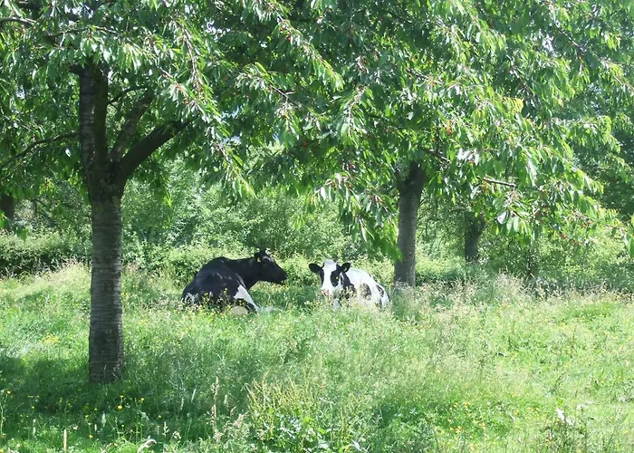 Recreatieboerderij Tergracht 팜스테이 에펜