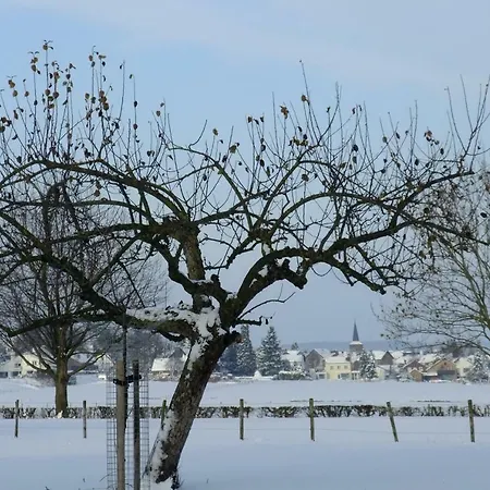 Séjour à la ferme Recreatieboerderij Tergracht