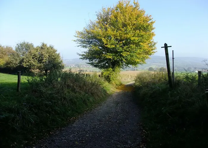 Alojamento de Turismo Rural Recreatieboerderij Tergracht