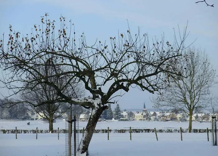 Alojamento de Turismo Rural Recreatieboerderij Tergracht
