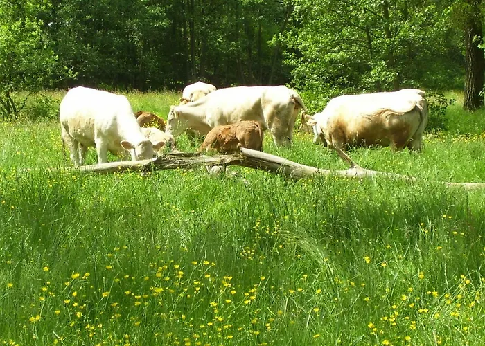 Alojamento de Turismo Rural Recreatieboerderij Tergracht Epen